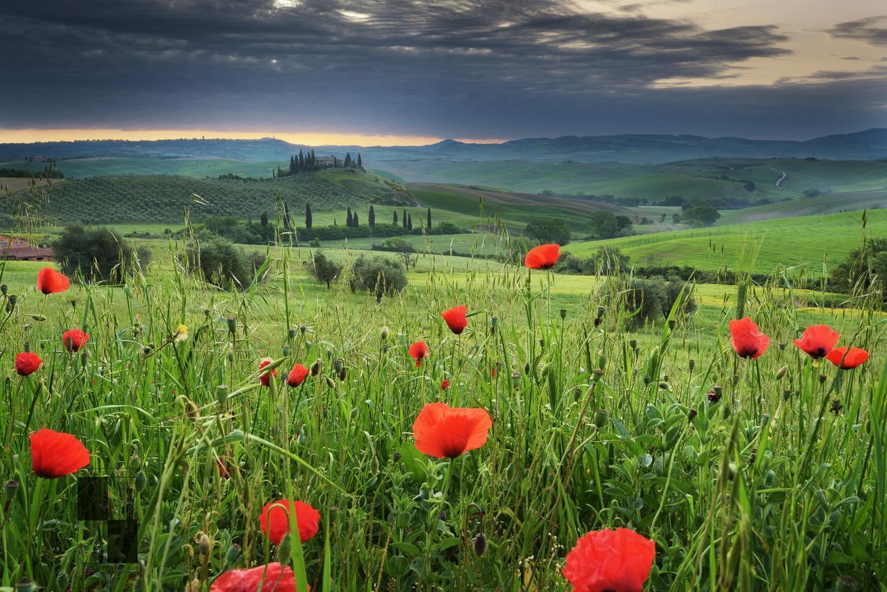 La Bellavita B&B Pienza Bagian luar foto
