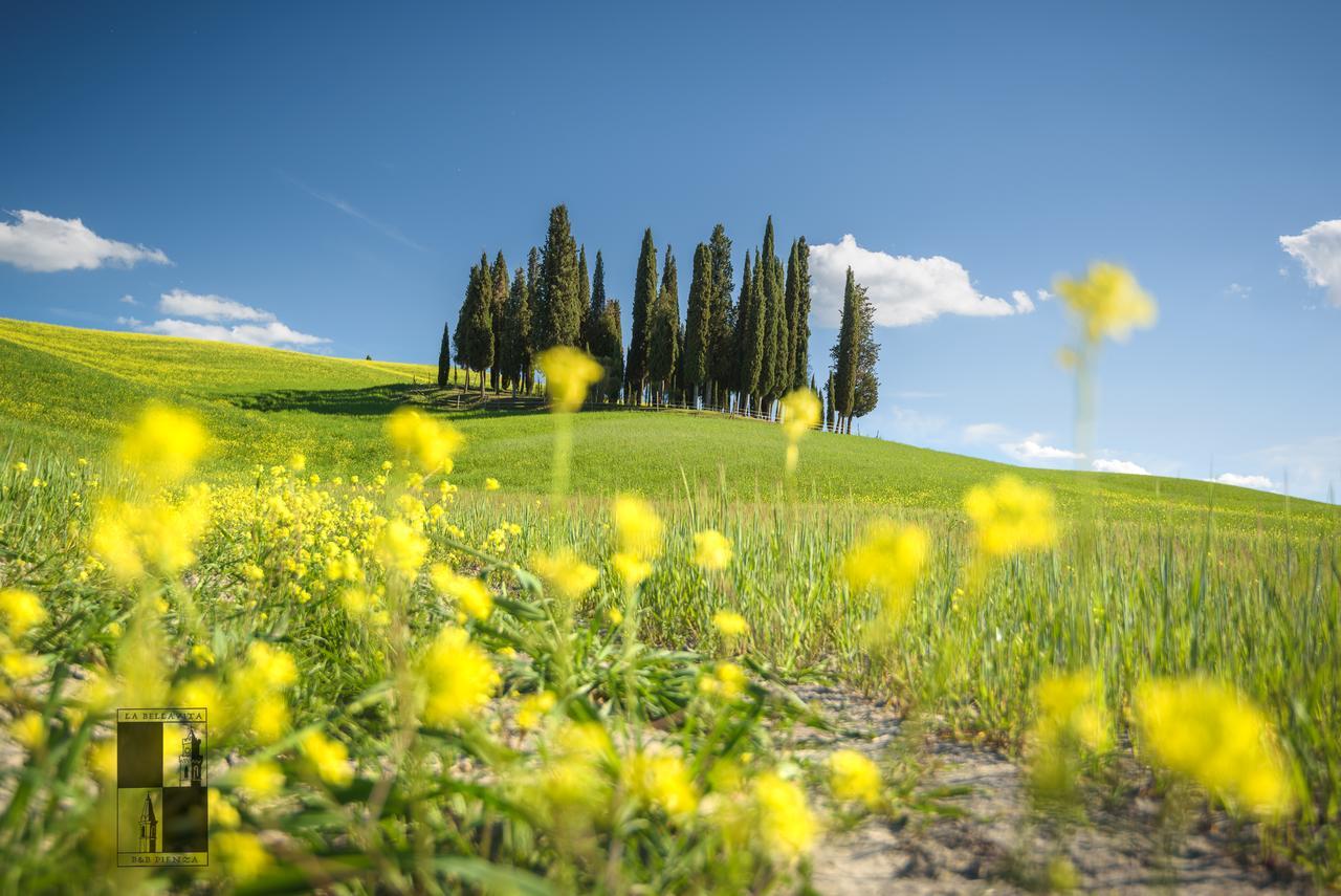 La Bellavita B&B Pienza Bagian luar foto